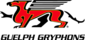 u7gryphonshockey
